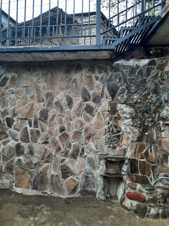 Guest House Bochora Bordžomi Exteriér fotografie