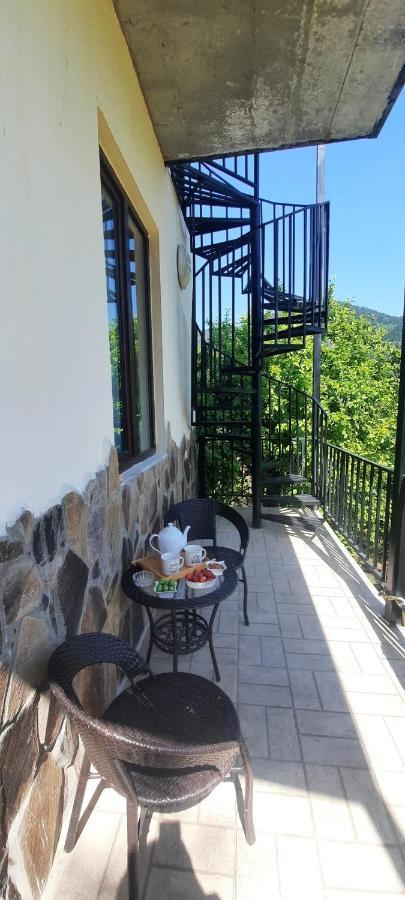 Guest House Bochora Bordžomi Exteriér fotografie